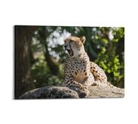 Poster animal - Guépard sur rocher moussu aux yeux ambrés - Toile décorative pour chambre à coucher ou chambre à coucher 60 x 90 cm
