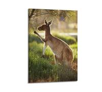 Poster animal kangourou en plein soleil avec cadre - Impression sur toile pour salon, chambre à coucher - 50 x 75 cm