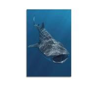 Poster animal marin baleine requin décoratif sur toile murale moderne pour chambre à coucher 30 x 45 cm