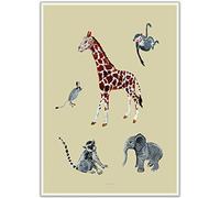 Poster animaux africains.