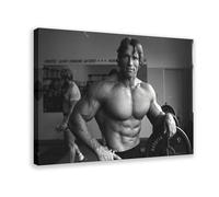 Poster Arnold Schwarzenegger Fitness sur toile - Art mural - 30 x 45 cm