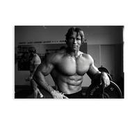 Poster Arnold Schwarzenegger Fitness sur toile pour décoration de chambre à coucher, décoration paysagère, cadeau 20 x 30 cm