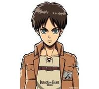 Poster Attack on Titan Eren 86,5 cm x 55,9 cm G