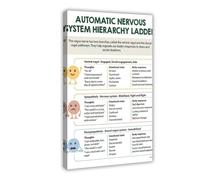 Poster automatique du système nerveux, théorie du nerf vague, structure hiérarchique, cerveau humain, santé mentale, décoration de bureau de traitement, toile 20 x 30 cm