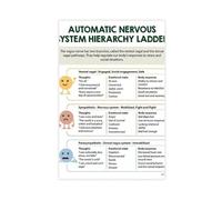 Poster automatique du système nerveux, théorie du nerf vague, structure hiérarchique, cerveau humain, santé mentale, décoration de bureau de traitement, toile 20 x 30 cm