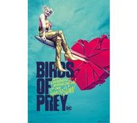 Poster Birds Of Prey Broken Heart