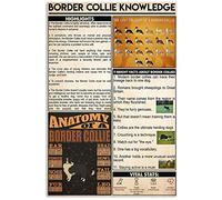 Poster Border Collie Knowledge - Panneaux anatomiques en métal - Décoration de chambre - Éducation scientifique - Club de ferme - Décoration murale vintage - 30,5 x 40,6 cm