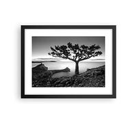 Poster Cadre Noir 40x30 cm Affiche Botanique Noir et Blanc - 4297 - P2B