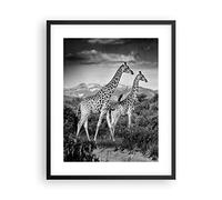 Poster Cadre Noir 40x50 cm Affiche Afrique Noir et Blanc - 4441 - P2B