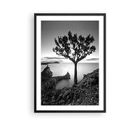 Poster Cadre Noir 50x70 cm Affiche Botanique Noir et Blanc - 4297 - P2B | Arbre ET Noir Poster Mural Moderne Décoratif Art Mural Impression d'Art Salon Chambre Cuisine Tableau Décoration ARTTOR