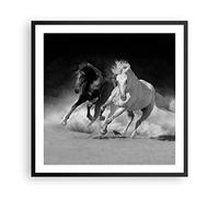 Poster Cadre Noir 60x60 cm Affiche Noir et Blanc Animaux - 4240 - P2B | Andalou Chevaux Galop Poster Mural Moderne Décoratif Art Mural Impression d'Art Salon Chambre Tableau Décoration ARTTOR