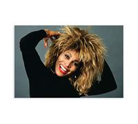 Poster classique de la chanteur de rock Tina Turner - Art mural - Impression sur toile - Pour salon, chambre à coucher - Style sans cadre (30 x 45 cm)