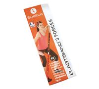 Poster d’exercices elastiband Sveltus Orange TU