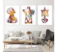 Poster d'anatomie médicale, poster d'anatomie de cœur avec fleurs, images de cœur, poumons, cerveau, décoration de cabinet médical, pour hôpital, clinique, sans cadre (A, 3x20x30cm, Sans cadre)