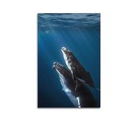 Poster d'animaux marins à bosse baleine sous-marine pour aquarium, musée marin, art mural, décoration de chambre, peinture sur toile, pour décoration de maison et de bureau, 30 x 45 cm