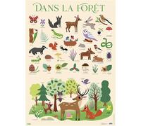 Poster dans la foret min 5 - Collectif - Lito - broché - Document jeunesse