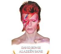 Poster David Bowie Aladdin Sane 91,5 cm x 61 cm G