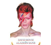 Poster David Bowie Aladdin Sane - Papier Glacé - 91 x 61 cm