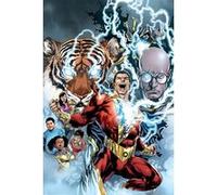 Poster DC Comics Shazam The Power of Shazam 91,5 cm x 61 cm G