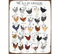 Poster de A à Z de poulets - Affiche de l'alphabet - Cadeau pour les amoureux des poulets - Affiche de A à Z des races de poulet - 20,3 x 30,5 cm