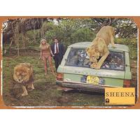 Poster de film rétro Sheena Queen of the Jungle - Carte de lobby 6 Tanya Roberts - 20,3 x 30,5 cm - Affiche en métal vintage - Plaque en métal pour bar, karaoké, club de musique, restaurant, Man Cave