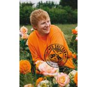 Poster de musique Ed Sheeran Champ de Roses - Dimensions : 61 x 91,5 cm