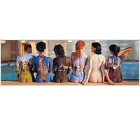 Poster de Porte Pink Floyd Back Catalogue - 53x158cm