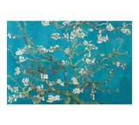 Poster de Van Gogh + 1 Powerstrips©, tesa adh‚sifs double face-20pcs G