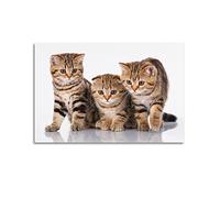 Poster décoratif sur toile avec chats mignons et jolis chats - Décoration murale pour chambre à coucher - 30 x 45 cm