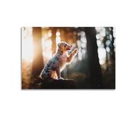 Poster décoratif sur toile représentant un chiot berger australien au crépuscule avec lumière dorée et rayons de soleil (40 x 60 cm)