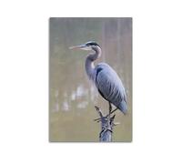 Poster décoratif sur toile représentant un héron bleu (30 x 45 cm)