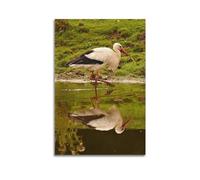 Poster décoratif sur toile représentant une cigogne blanche 30 x 45 cm
