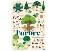 Poster découverte avec stickers Les arbres