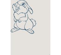 Poster Disney Toc gris et bleu - 612832 - 40 cm x 50 cm