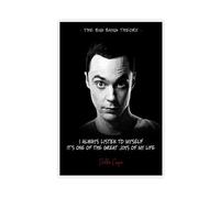 Poster du film The Big Bang Theory avec citation de Sheldon Cooper 7 - Décoration murale pour salon, chambre à coucher - Noir - 30 x 45 cm
