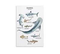 Poster éducatif baleine espèces d'animaux marins, tableau des baleines d'art éducatif pour les soins des tout-petits (3) Poster sur toile Décoration murale Imprimée