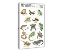 Poster éducatif de classification des animaux - Décoration aquarelle pour chambre d'enfant 2 affiches sur toile pour décoration de chambre à coucher, bureau, chambre, cadeau, 60 x 90 cm