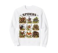 Poster éducatif pour Enfants Motif araignées du Monde Sweatshirt