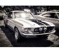 Poster Eleanor Ford Mustang 1967 B&W Collection Wall Art