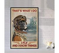 Poster en métal avec inscription « That's What I Do I Fly And I Know Things » - Pour les amateurs de chiens - 30,5 x 40,6 cm