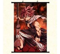 Poster en toile étanche avec cadre en PVC - FAIRY TAIL (#41),40x60 CM G