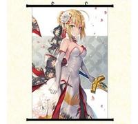 Poster en toile étanche avec cadre en PVC - Fate Zero Fate Stay Night (#258),30X45 CM G