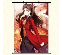 Poster en toile étanche avec cadre en PVC - Fate Zero Fate Stay Night (#276),30X45 CM G