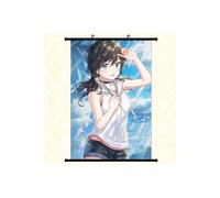 Poster en toile étanche avec cadre en PVC - Weathering with you (#959),40x60 CM
