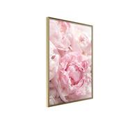 Poster et affiche - Abundance of Flowers - 40x60 (12308)