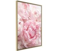 Poster et affiche - Abundance of Flowers - 40x60 (12308)