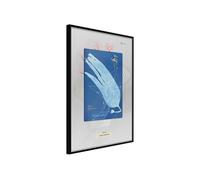 Poster et affiche - Alga Cyanotype - 40x60 Artgeist (12474) NOIR