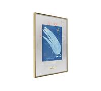 Image encadrée Artgeist Poster et affiche - Alga Cyanotype - 40x60 (12476)