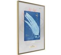 Image encadrée Artgeist Poster et affiche - Alga Cyanotype - 40x60 (12476)