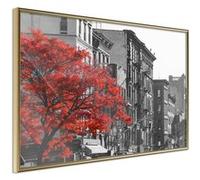 Poster et affiche - Autumn Colours II - 30x20 Artgeist (13010)
